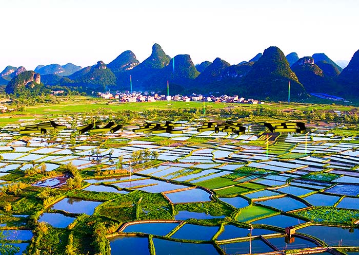 Glass Rice Terraces, Huixian Town, Guilin