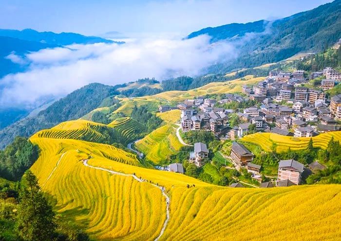 Longji Rice Terrace - Ping'an