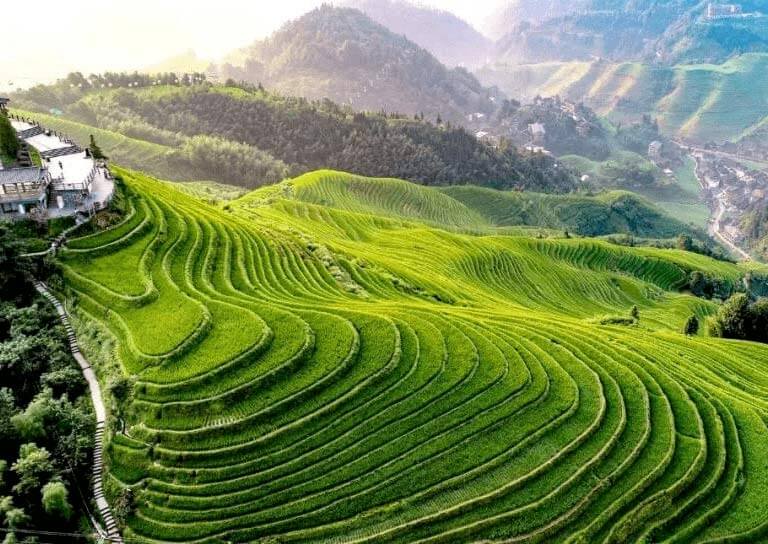 Longji Rice Terrace - Dazhai 