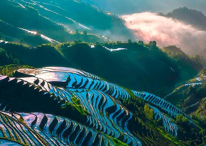 Longji Rice Terrace - Dazhai 
