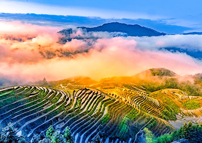 Longji Rice Terrace - Ping'an