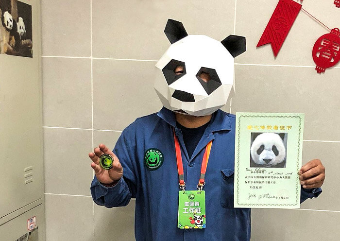 Dujiangyan Panda Volunteer 