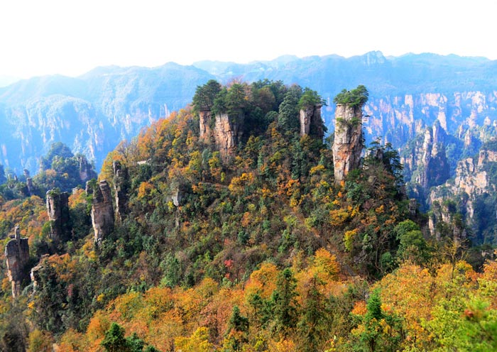 Wulingyuan National Park in Autumn, Zhangjiajie