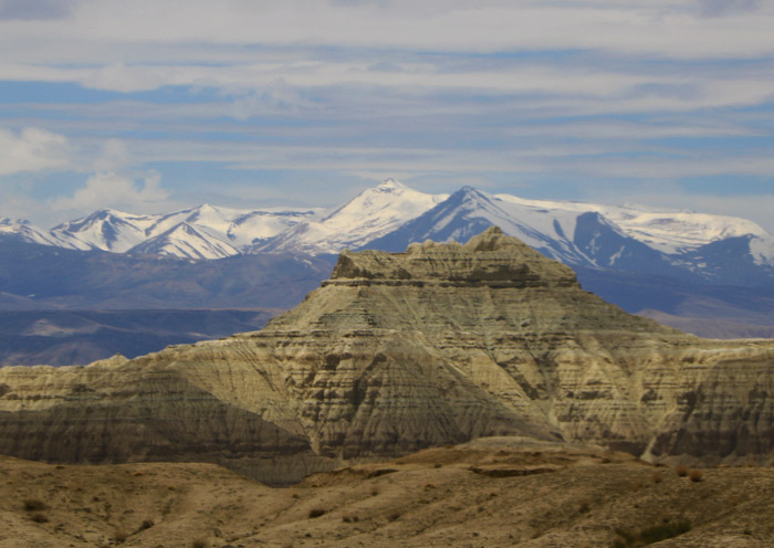 Bosque Tierra de Zanda en Tibet Zanda Earth Forest in Tibet