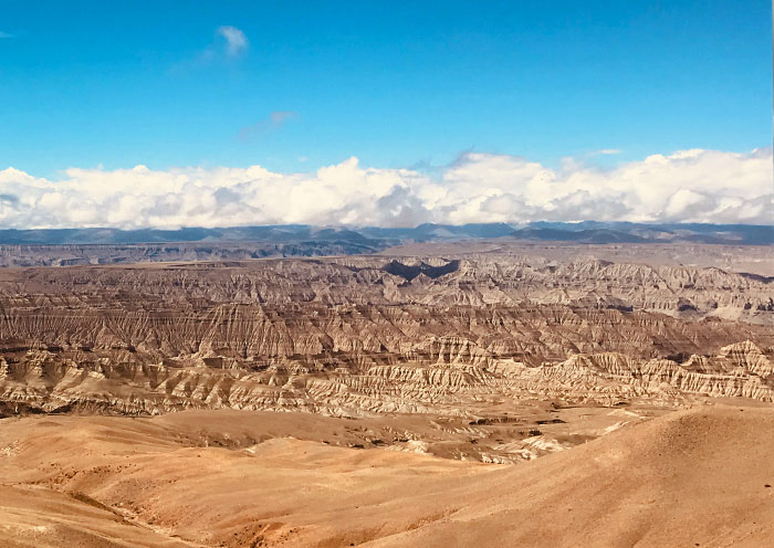 El Magnífico Bosque de Tierra de Zanda Zanda Earth Forest in Tibet