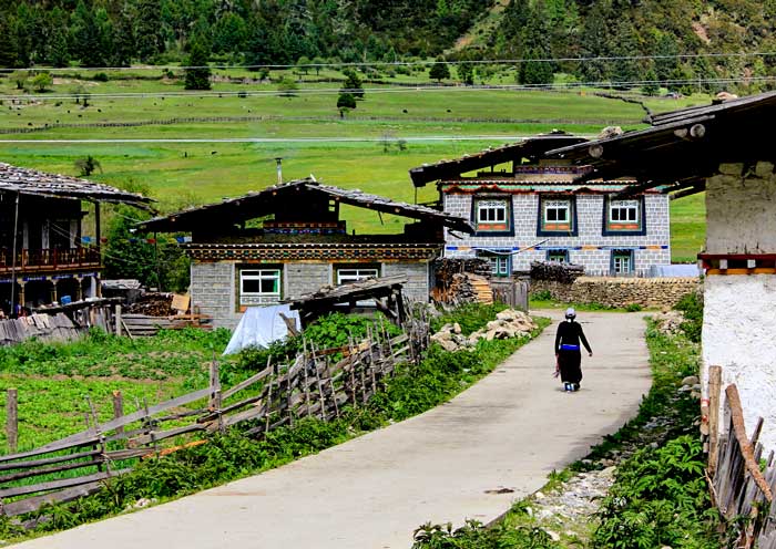 El Bosque Lulang alberga aldeas tibetanas y la cultura tibetana tradicional. Lulang Forest is home to Tibetan villages and traditional Tibetan culture