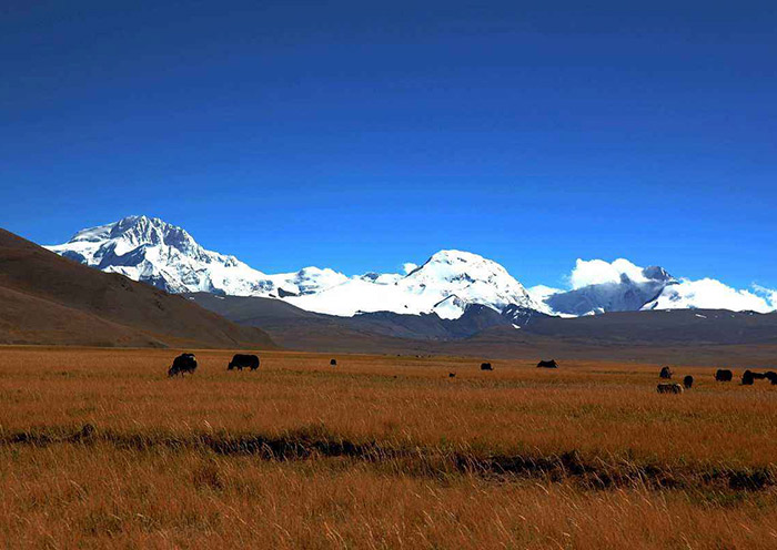 Monte Shishapangma, Tibet Mount Shishapangma, Tibet