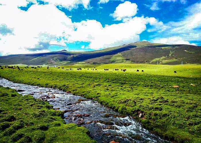 Práctica de Bangda, Tibet Bangda Grassland, Tibet