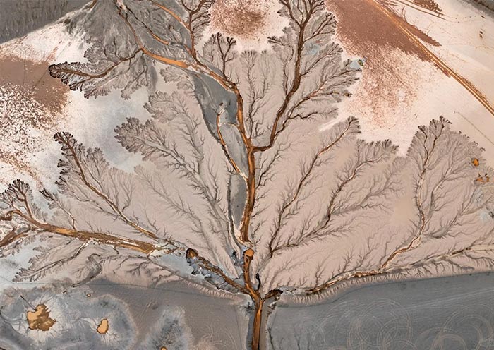 Árbol de la Tierra, Tibeta Tree of the Earth, Tibet