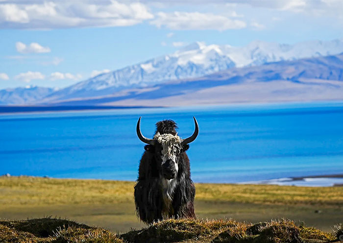 El lago Tangra Yumco