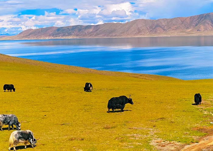 Lago Tong Tso Tong Tso Lake, Tibet