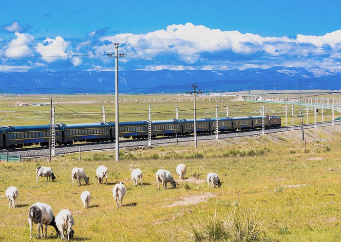 Train To Lhasa, Tibet Train To Lhasa, Tibet