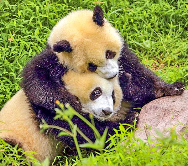 China Autumn Tours in September